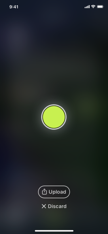 Roadie record screen with a single large record button